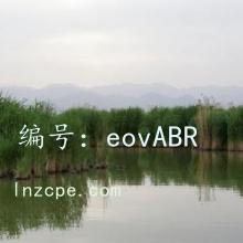 ĺ֮