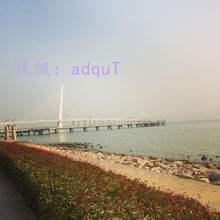 λ